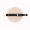 Pilot Custom 742 Posting Nib Fountain Pen Black