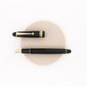Pilot Custom 742 Posting Nib Fountain Pen Black