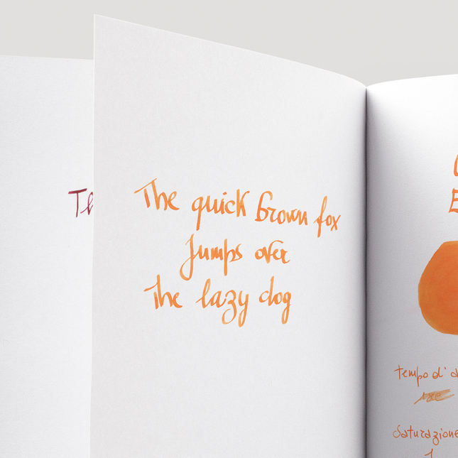 Caran d'Ache Electric Orange Ink Bottle 50 ml