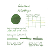 Colorverse Schrodinger & Cat Ink Bottle 65 + 15 ml