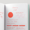 Diamine Coral Inchiostro 80 ml