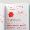 Diamine Shimmering Rockin Rio Ink Bottle 50 ml