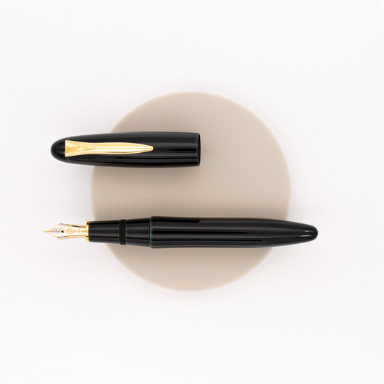 Platinum Izumo Urushi Tamenuri Penna Stilografica Soratame