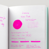 Diamine Hope Pink Inchiostro 80 ml