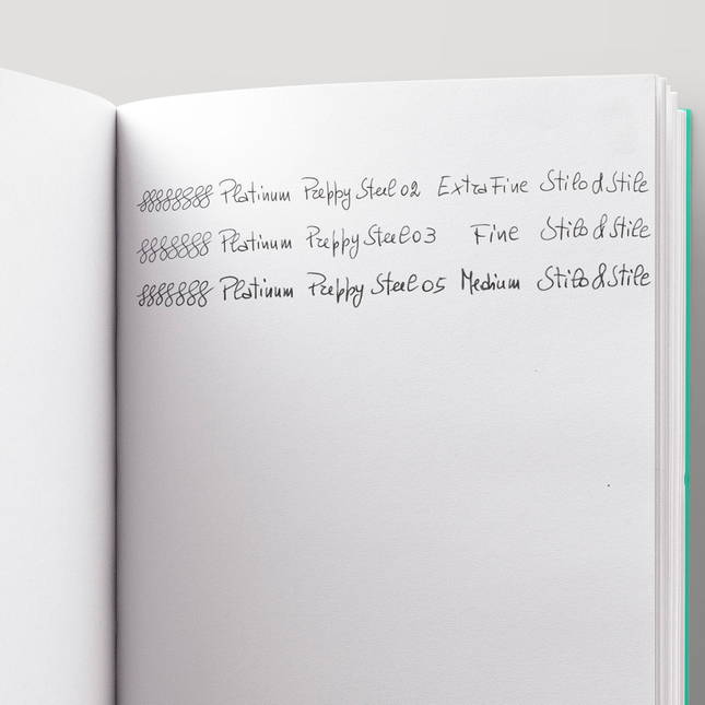 Platinum Preppy 02 Penna Stilografica Nera
