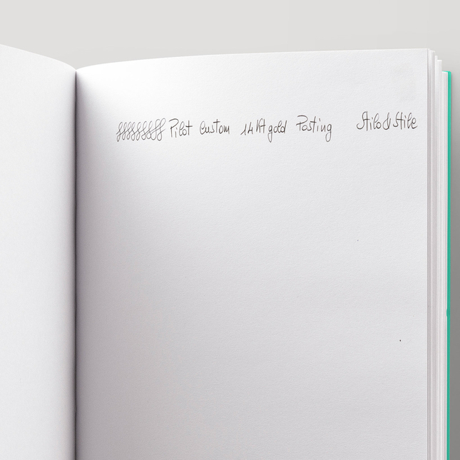 Pilot Custom 742 Posting Nib Fountain Pen Black