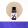 Diamine Flower Iris Ink Bottle 30 ml