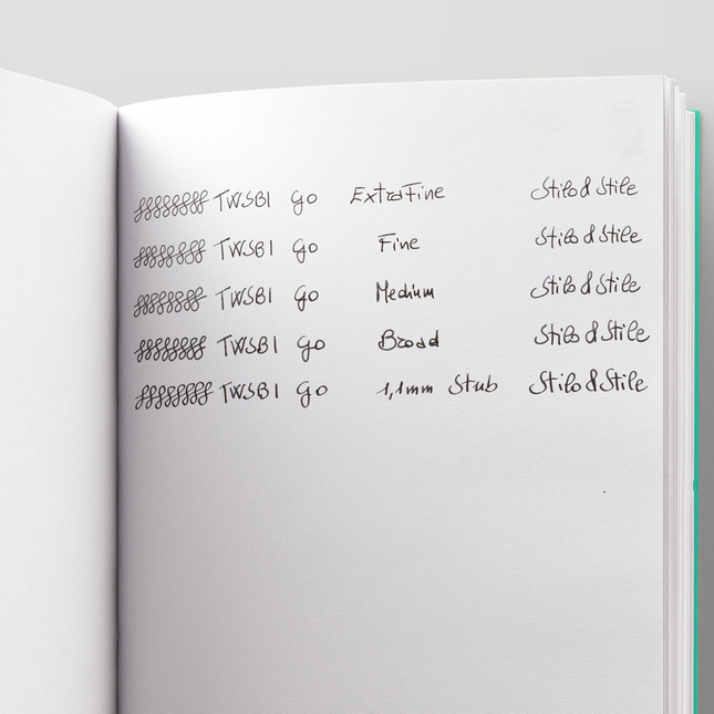 Twsbi Go Penna Stilografica Trasparente