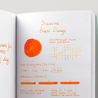 Diamine Blaze Orange Inchiostro 30 ml