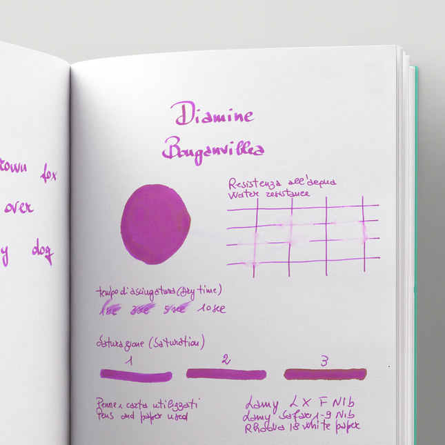 Diamine Flower Bougainvillea Inchiostro 30 ml