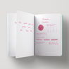 Diamine Flower Carnation Inchiostro 30 ml