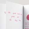 Diamine Flower Carnation Inchiostro 30 ml