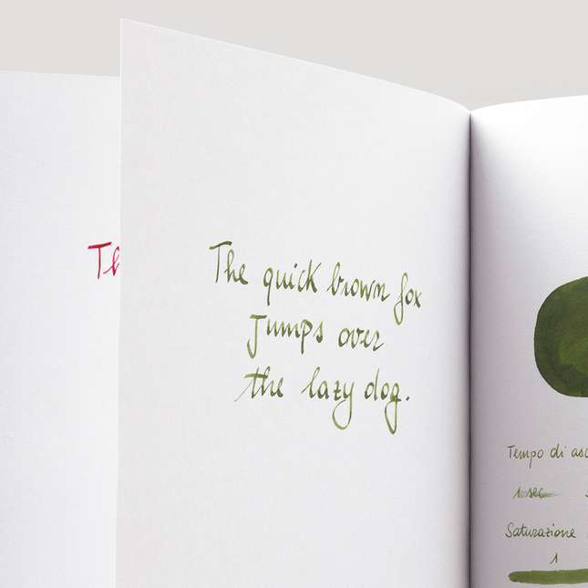 Diamine Classic Green Inchiostro 30 ml