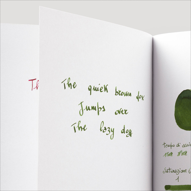 Diamine Inkvent Mistletoe Inchiostro 50 ml Blue Edition