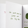 Diamine Inkvent Mistletoe Inchiostro 50 ml Blue Edition