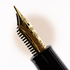 Sailor Professional Gear Slim Penna Stilografica Nera & Oro