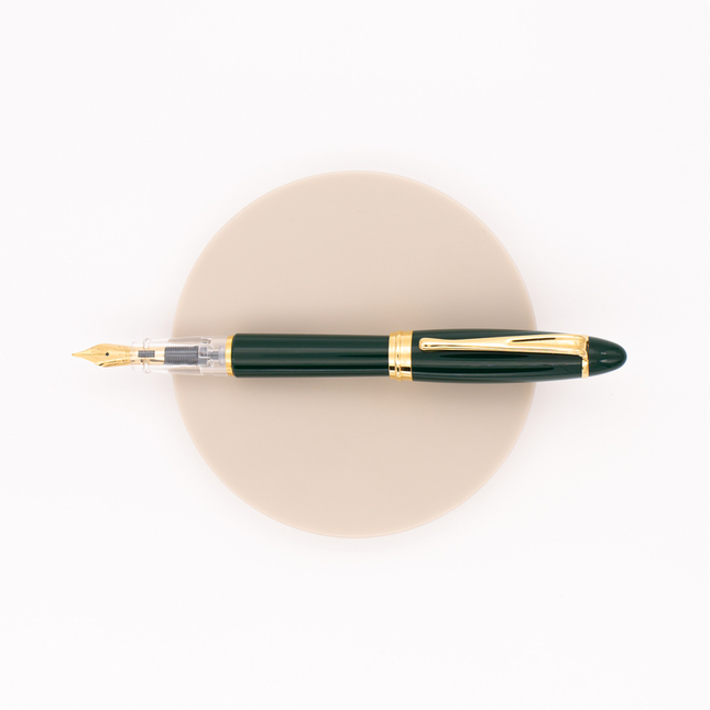 Aurora Ipsilon Demo Colors Penna Stilografica Verde & Oro