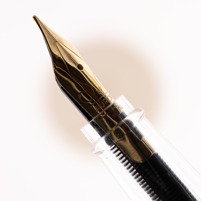 Aurora Ipsilon Demo Colors Penna Stilografica Verde & Oro