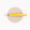 Aurora Ipsilon Demo Colors Fountain Pen Yellow & Gold