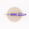 Aurora Ipsilon Demo Colors Penna Stilografica Viola & Rodio