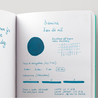 Diamine Eau de Nil Inchiostro 30 ml