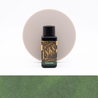 Diamine Emerald Inchiostro 30 ml Diamine Emerald Inchiostro 30 ml