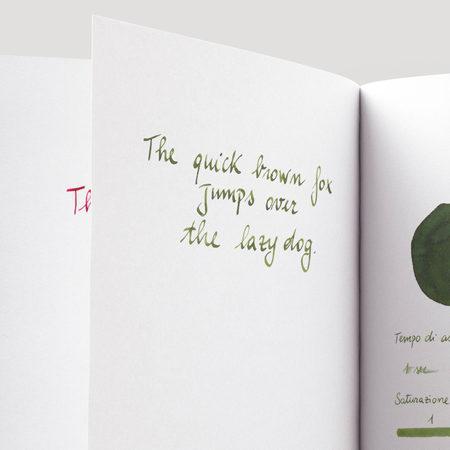 Diamine Evergreen Ink Bottle 30 ml