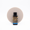 Diamine Florida Blue Inchiostro 30 ml