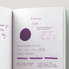 Diamine Grape Ink Bottle 30 ml