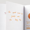 Diamine Guitar Honey Burst Inchiostro 30 ml