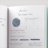 Sailor Ink Studio 224 Inchiostro 20 ml