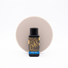 Diamine Misty Blue Ink Bottle 30 ml