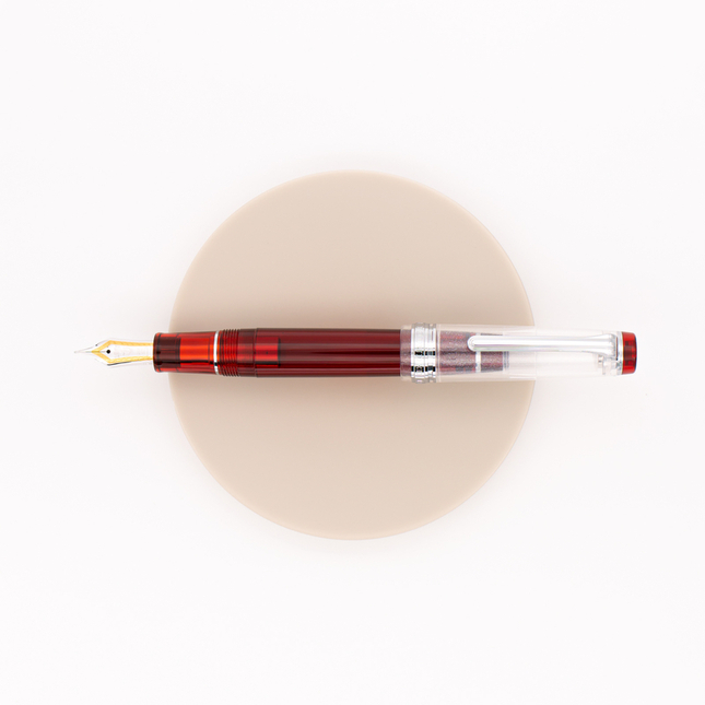 Sailor Professional Gear Penna Stilografica Piccadilly Night Edizione Limitata