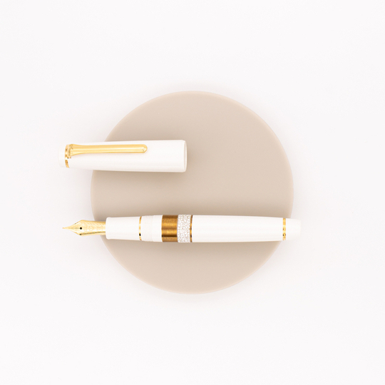 Sailor Professional Gear Classic Ko Makie Penna Stilografica Mist