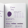 Diamine Flower Pansy Ink Bottle 30 ml