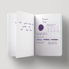 Diamine Flower Pansy Inchiostro 30 ml