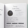 Diamine Quartz Black Ink Bottle 30 ml