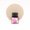 Visconti Van Gogh Souvenir De Mauve Ink Bottle 30 ml