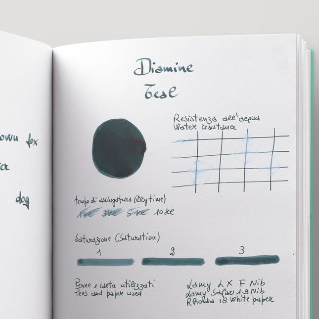 Diamine Teal Inchiostro 80 ml