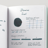 Diamine Teal Inchiostro 80 ml
