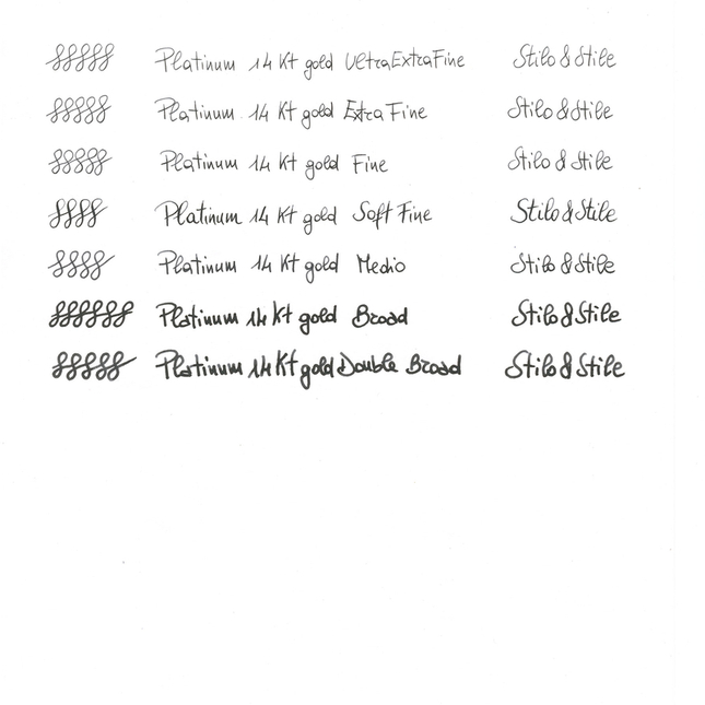 Platinum 3776 Century Penna Stilografica Kinshu Edizione Limitata