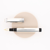 Sailor 110th Anniversary Fountain Pen Shirogane