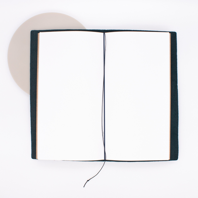 Traveler's Notebook Regular Size Blu