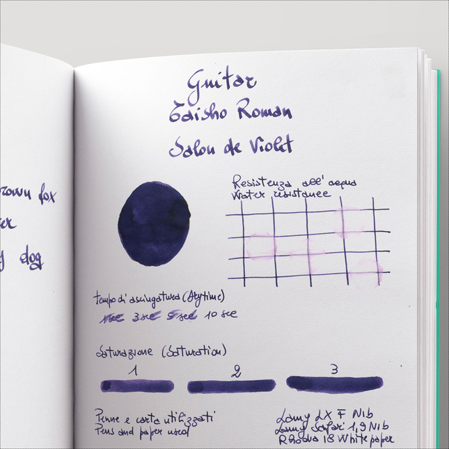 Guitar Taisho Roman Salon de Violet Ink Bottle 40 ml