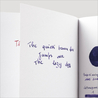 Guitar Taisho Roman Salon de Violet Ink Bottle 40 ml