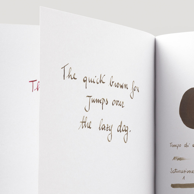 Diamine Salamander Inchiostro 30 ml