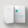 Diamine Soft Mint Inchiostro 30 ml