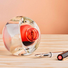 Twsbi Ball Portabottiglie in Vetro