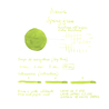 Diamine Spring Green Inchiostro 30 ml