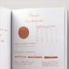 Sailor Ink Studio 273 Inchiostro 20 ml